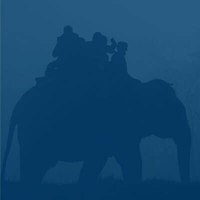 Elephant Rider